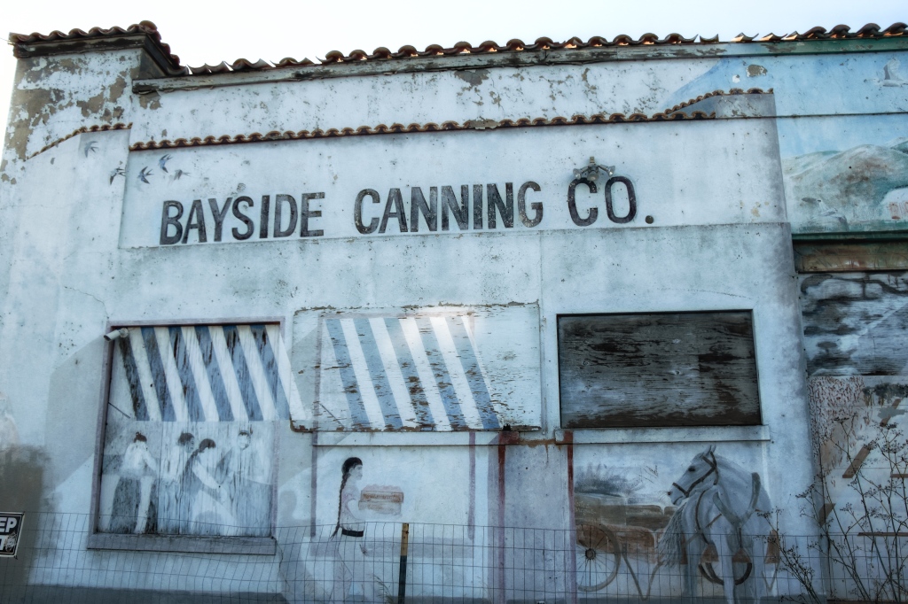 Bayside Canning Company Blues